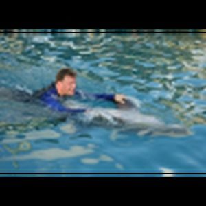 Meet your Posher, Andy